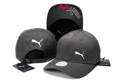 Other Snapbacks(AA)-0018