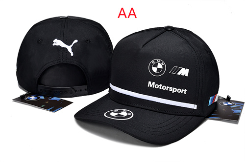 Other Snapbacks(AA)-0021