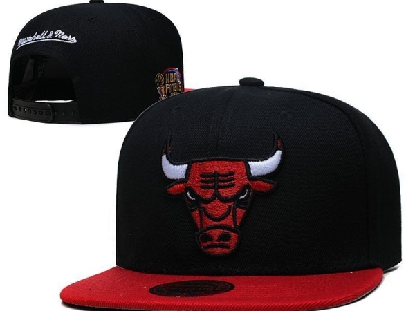 NBA Snapbacks(4)-0181
