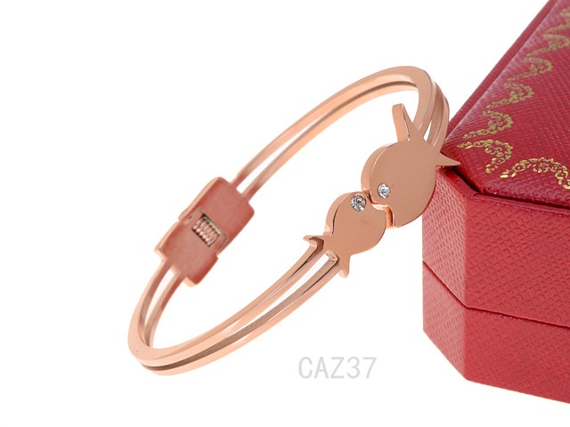 Cartier Bangle-037