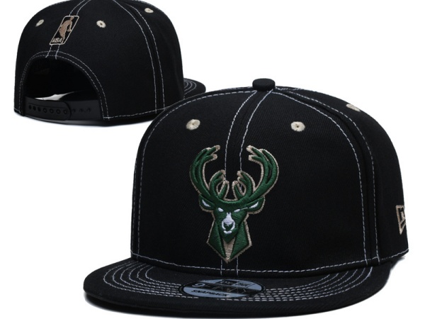 NBA Snapbacks(3)-0138
