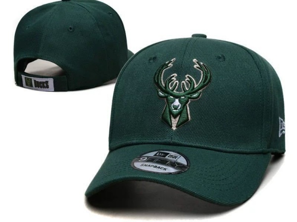 NBA Snapbacks(3)-0022