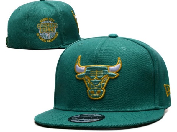 NBA Snapbacks(3)-0072