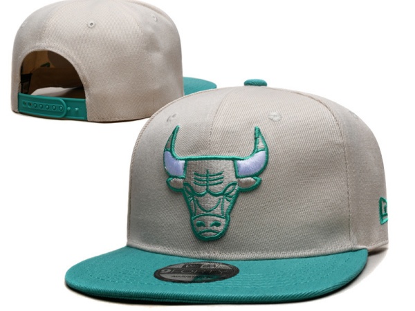 NBA Snapbacks(3)-0075
