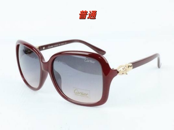 Cartier Sunglass-0018