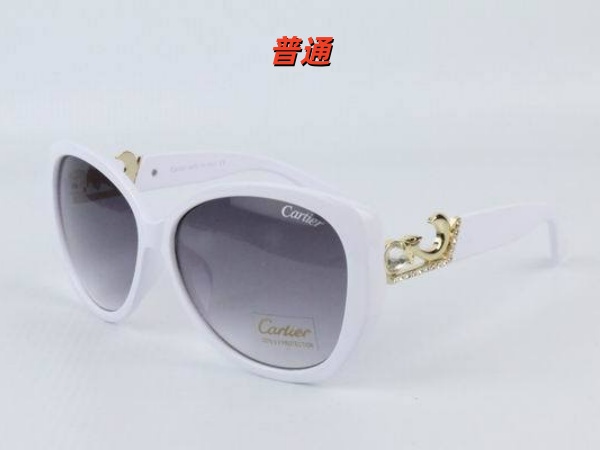 Cartier Sunglass-0028