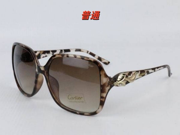 Cartier Sunglass-0041