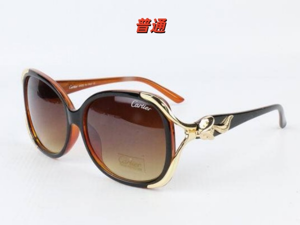 Cartier Sunglass-0075
