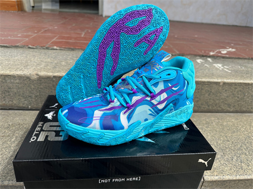 Puma Basketball shoes-0085