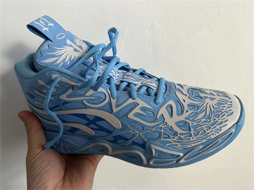 Puma Basketball shoes-0137