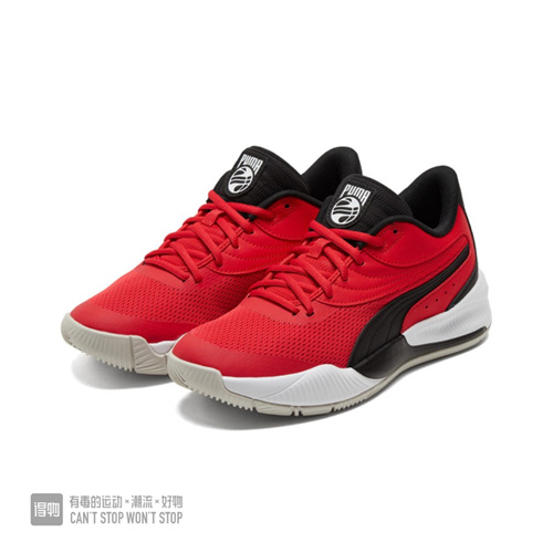 Puma Basketball shoes-033