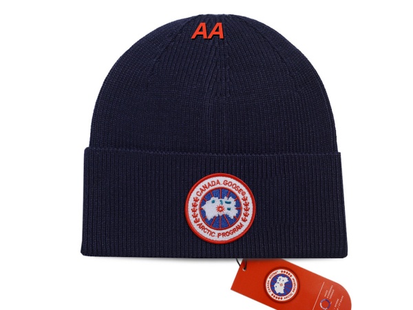 Beanies(AA)-0221