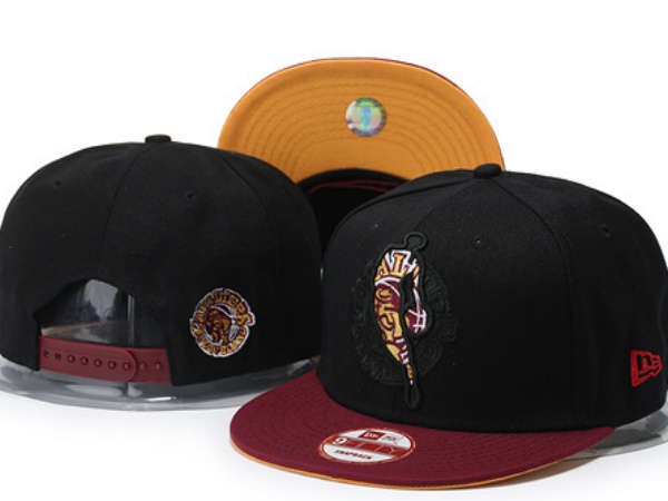 NBA Snapbacks(2)-0102