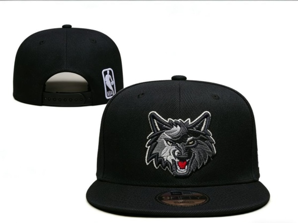 NBA Snapbacks(2)-0113