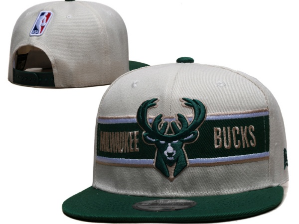 NBA Snapbacks(2)-0122