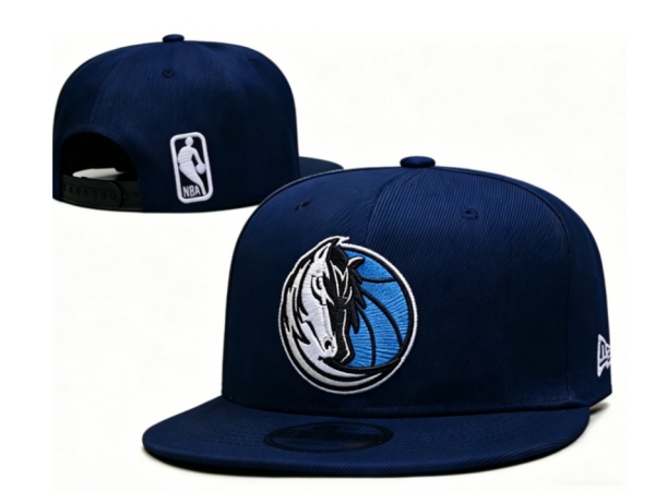 NBA Snapbacks(2)-0128