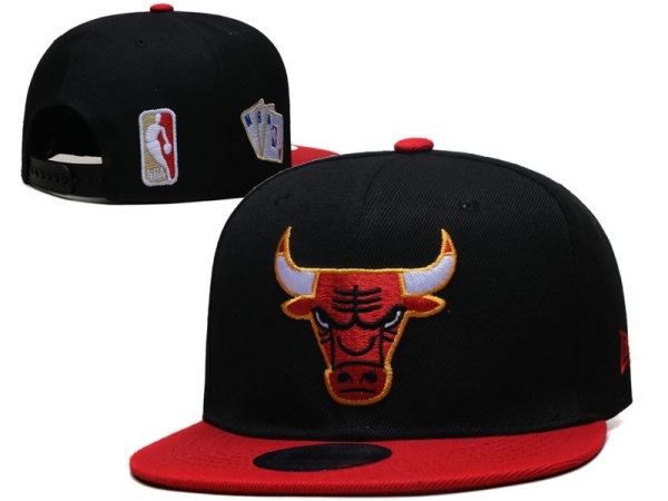 NBA Snapbacks(2)-0017