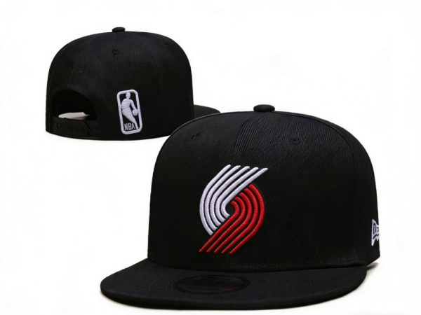 NBA Snapbacks(2)-0060