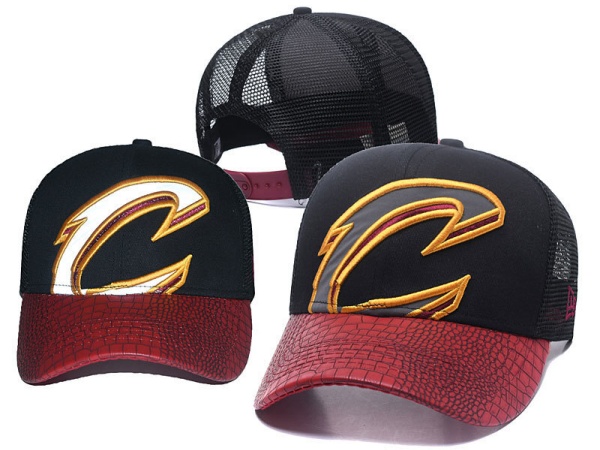 NBA Snapbacks(2)-0077