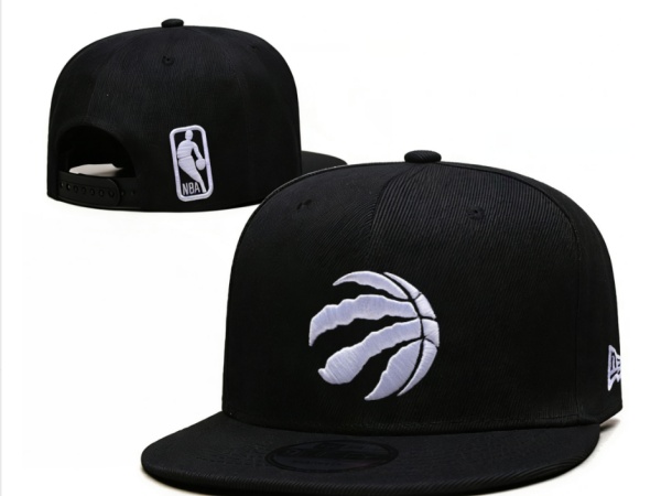 NBA Snapbacks(2)-0081