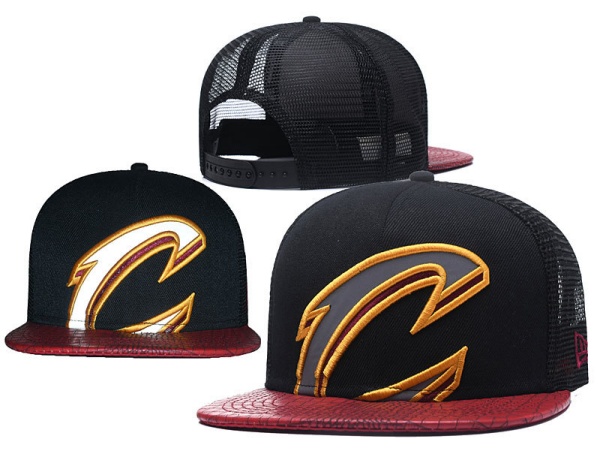 NBA Snapbacks(2)-0091