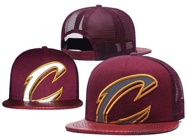 NBA Snapbacks(2)-0094