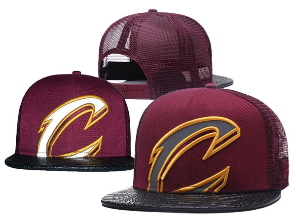 NBA Snapbacks(2)-0096