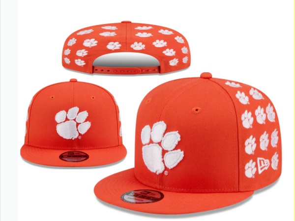 NCAA Snapbacks-0067