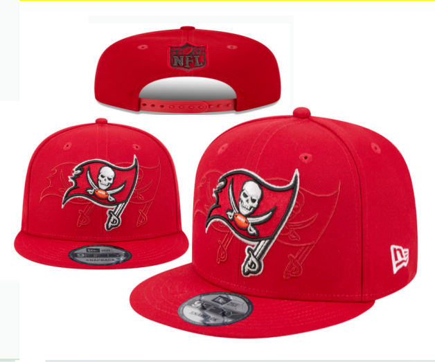 NFL Snapbacks(2)-0154