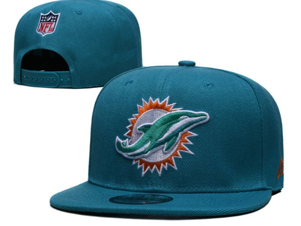 NFL Snapbacks(2)-0198