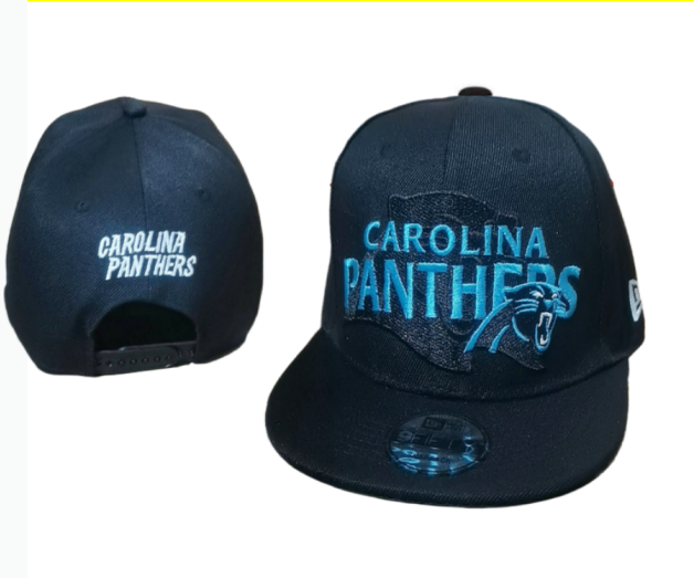 NFL Snapbacks(2)-0198