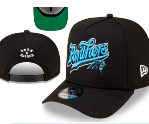 NFL Snapbacks(2)-0206