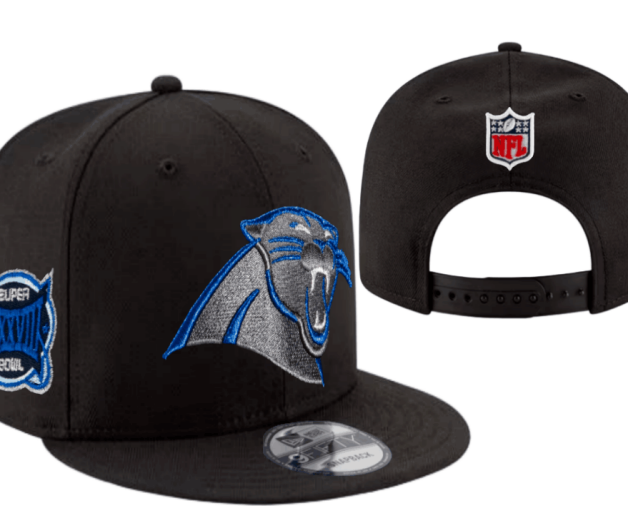NFL Snapbacks(2)-0207