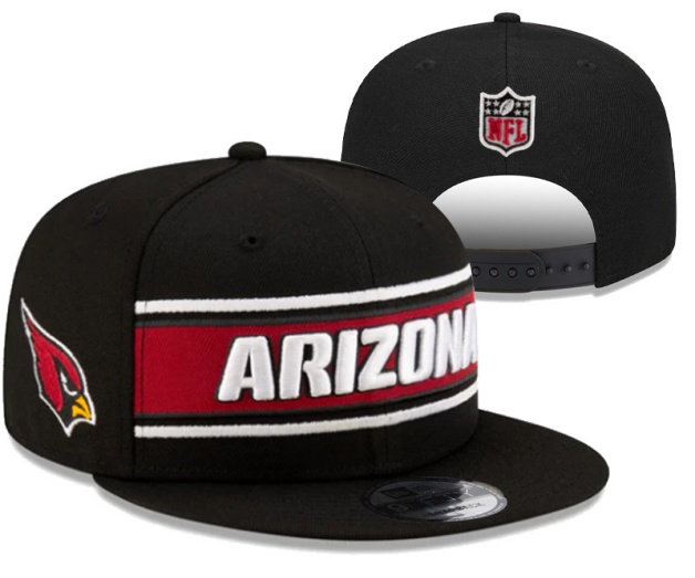 NFL Snapbacks(2)-0226
