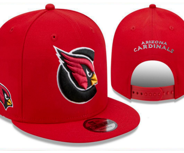 NFL Snapbacks(2)-0234