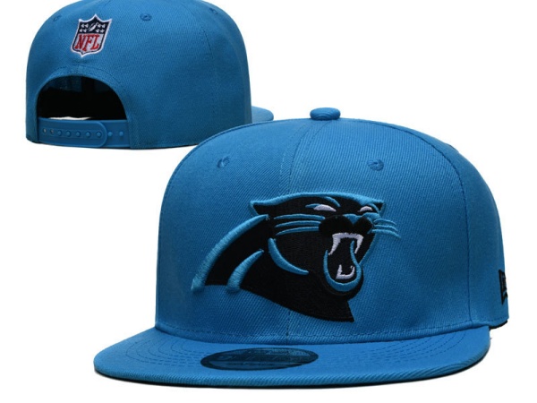 NFL Snapbacks(2)-0235
