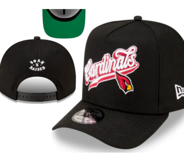 NFL Snapbacks(2)-0235