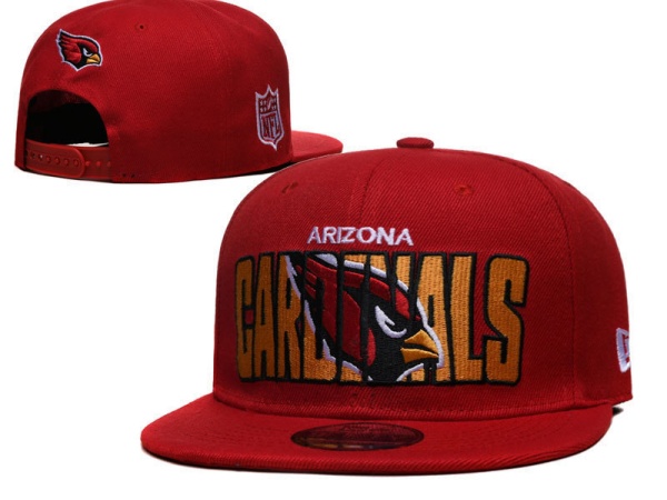 NFL Snapbacks(2)-0257