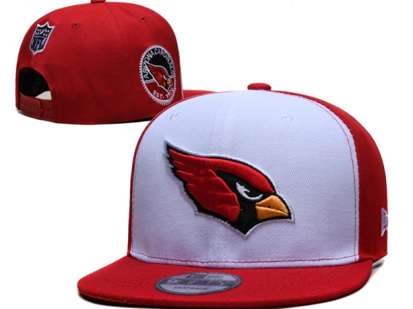 NFL Snapbacks(2)-0259