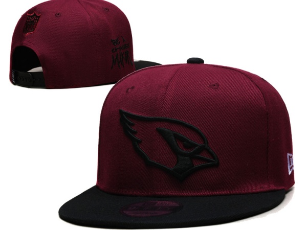 NFL Snapbacks(2)-0263
