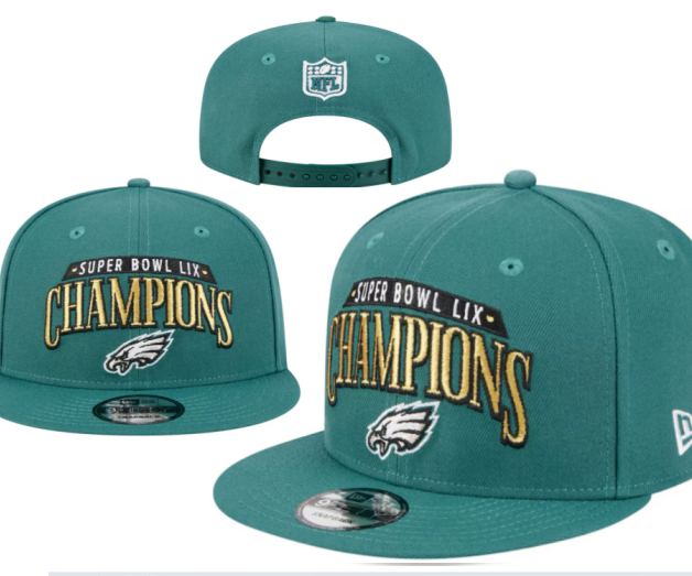 NFL Snapbacks(2)-0265