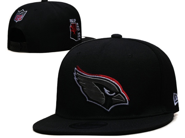 NFL Snapbacks(2)-0268