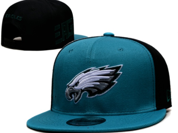 NFL Snapbacks(2)-0284