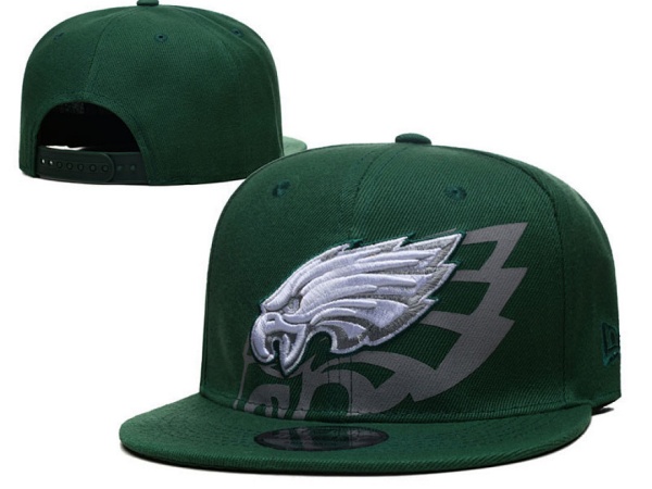 NFL Snapbacks(2)-0286