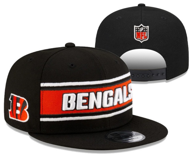 NFL Snapbacks(2)-0290