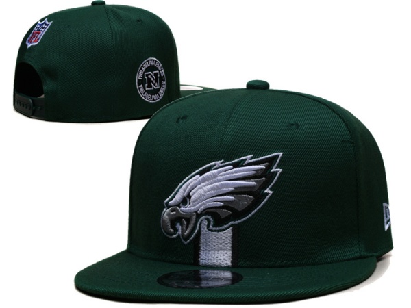 NFL Snapbacks(2)-0290