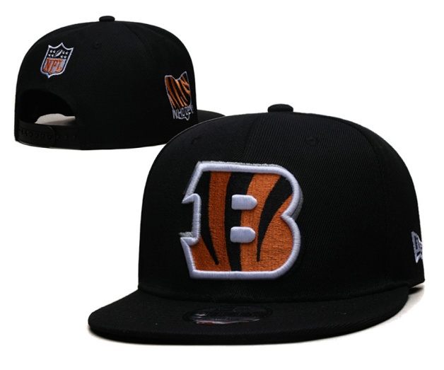 NFL Snapbacks(2)-0293