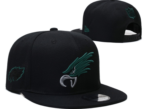 NFL Snapbacks(2)-0295