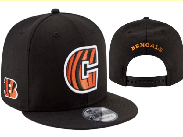 NFL Snapbacks(2)-0329