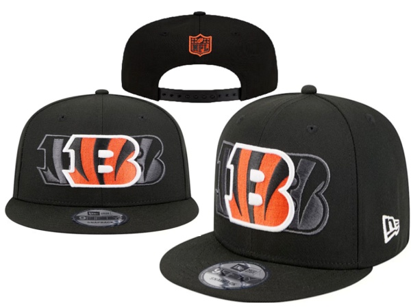 NFL Snapbacks(2)-0333